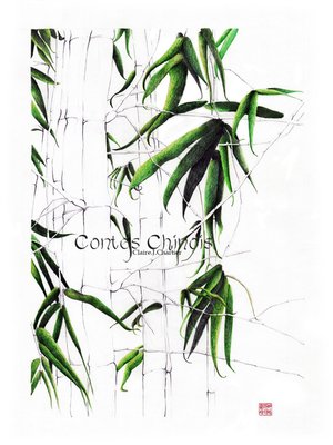 cover image of Contes Chinois